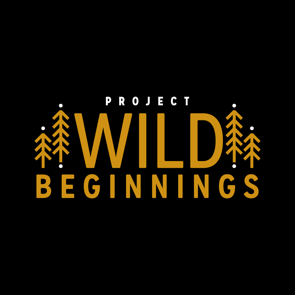 wild beginngings logo